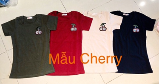 [Mã WA1606 giảm 15% đơn 99k] [FREE SHIP 50K] ÁO THUN NỮ Thời Trang Áo đẹp giảm giá | BigBuy360 - bigbuy360.vn