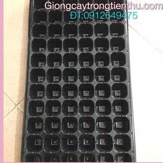10 khay gieo ươm hạt giống nhập khẩu.