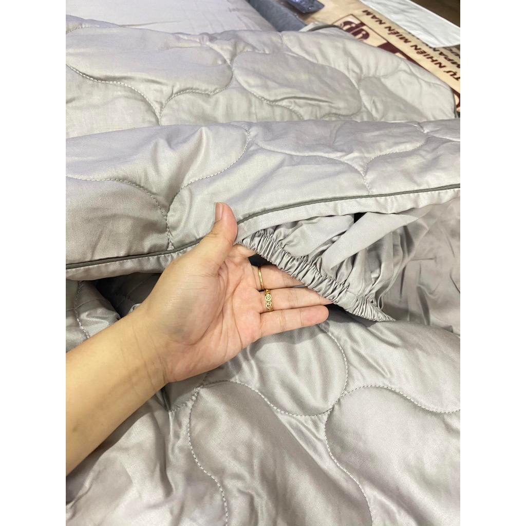 Bộ Drap chun chần EVERON MDSC084