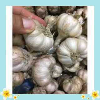 1kg Tỏi Hải Dương Việt Nam chính hãng chất lượng giá rẻ