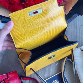 HM da kỳ nhông size 22, quảng châu