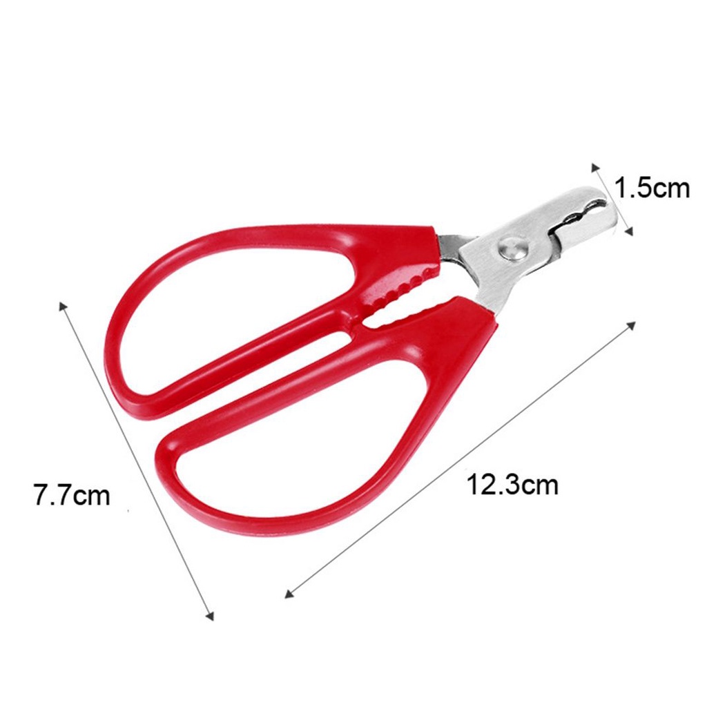 1 dụng cụ tách vỏ hạt dẻ bằng thép không gỉ tiện dụng