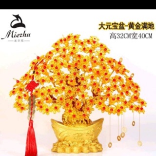 Nguyên liệu cây kim tiền