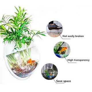 Bể cá treo tường đáng yêu