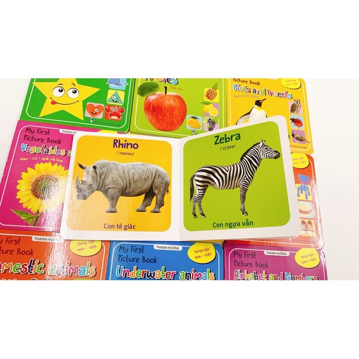 Sách Thư viện hình ảnh đầu tiên nhận biết thế giới xung quanh My First Picture Book song ngữ