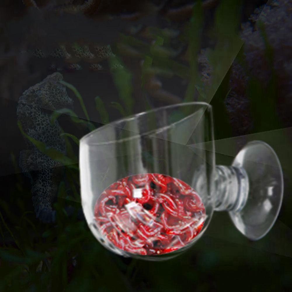 Bình Hoa Mini Trang Trí Bể Cá