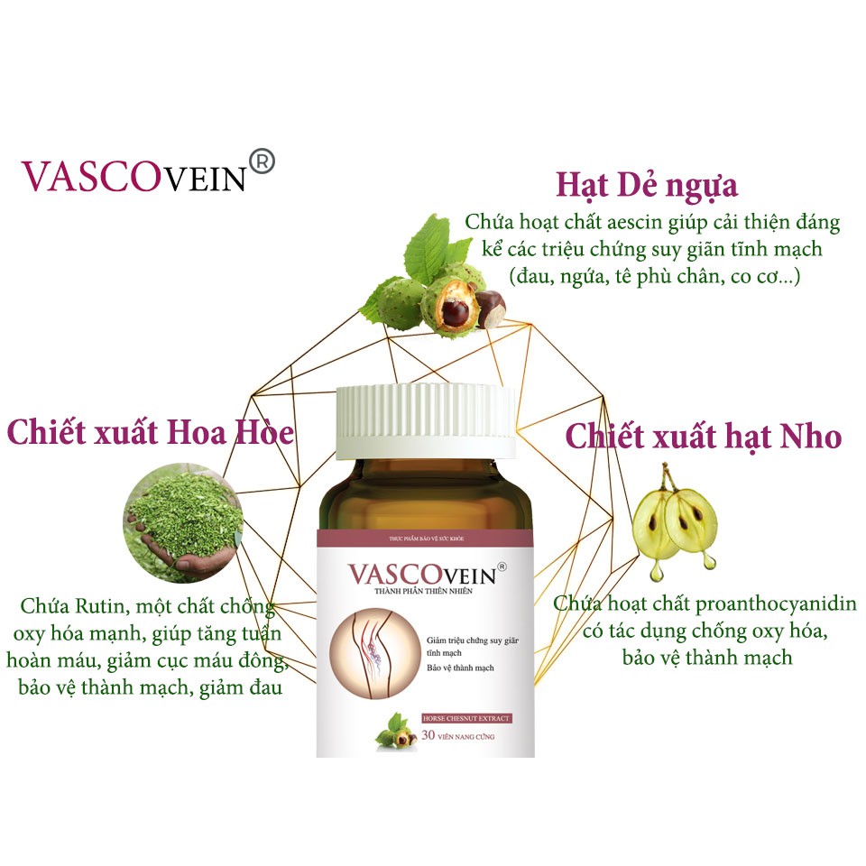 Viên uống VascoVein Vasco Vein – Bảo vệ thành mạch, giảm suy giãn tĩnh mạch, giảm tê đau phù chân tay Kem bôi Vascovein