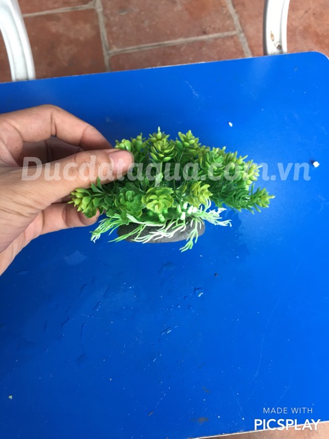 Cây nhựa trang trí , nội thất , bể cá