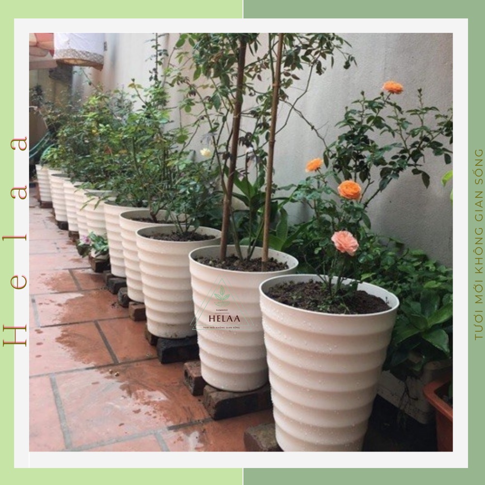 Chậu Nhựa Vòng Tròn Giả Sứ, Chậu Nhựa Trồng Cây Lớn, Hoa Cây Cảnh, Trong Nhà, Ban Công - 3 Kích Cỡ 37x32 cm
