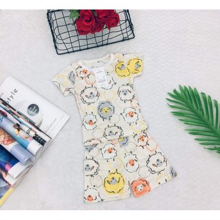 combo 10 bộ sợi tre