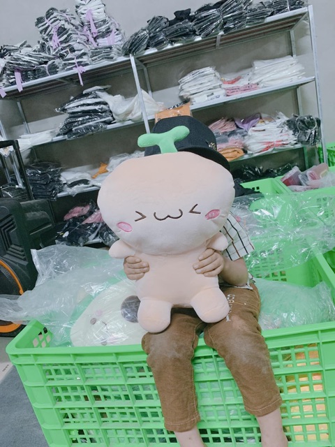 Gấu Mầm Cây Size 45Cm  Có Ảnh Thật  Gấu Bông Hình Mầm Cây 45Cm Cute Siêu Dễ Thương