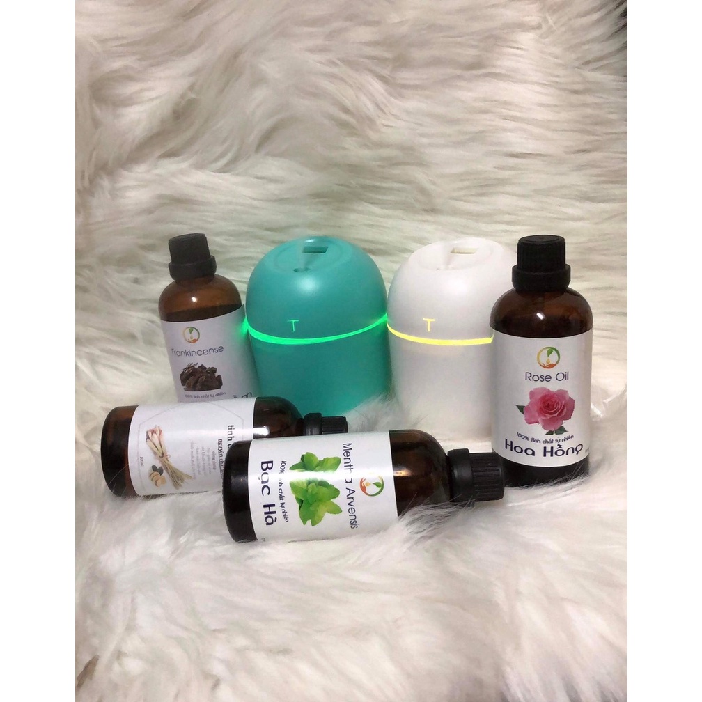 Combo 1 đèn + 1 tinh dầu 10ml