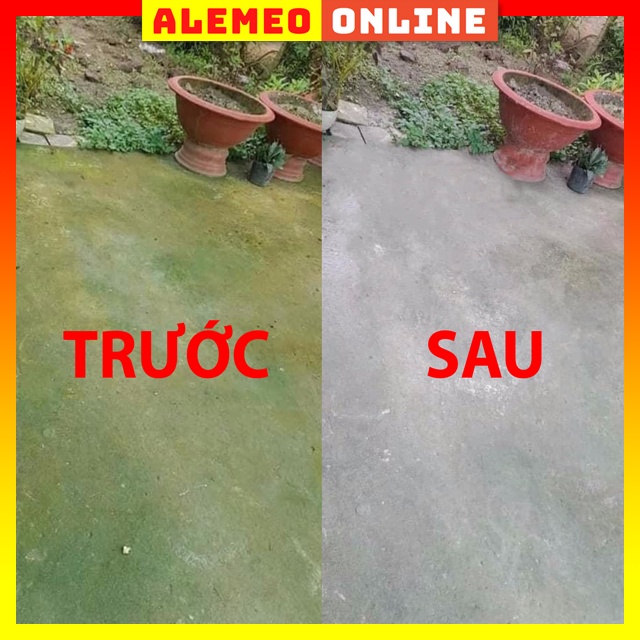 Bột tẩy diệt rong rêu trên nền xi măng, sân gạch, diệt mốc trần và tường nhà tiện lợi đa năng