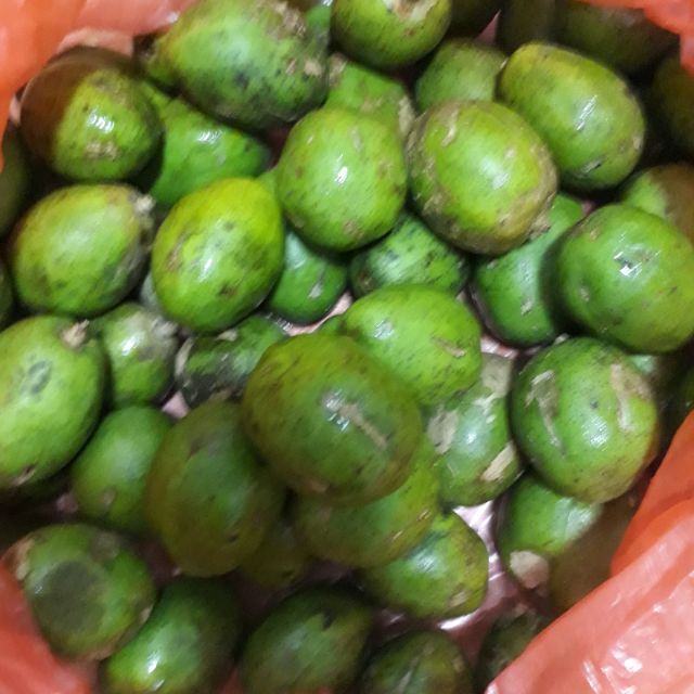 4kg cóc bao tử