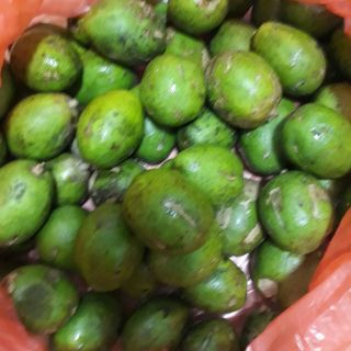 4kg cóc bao tử