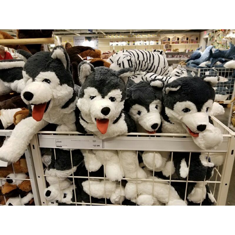 Gấu bông chó husky chính hãng Ikea