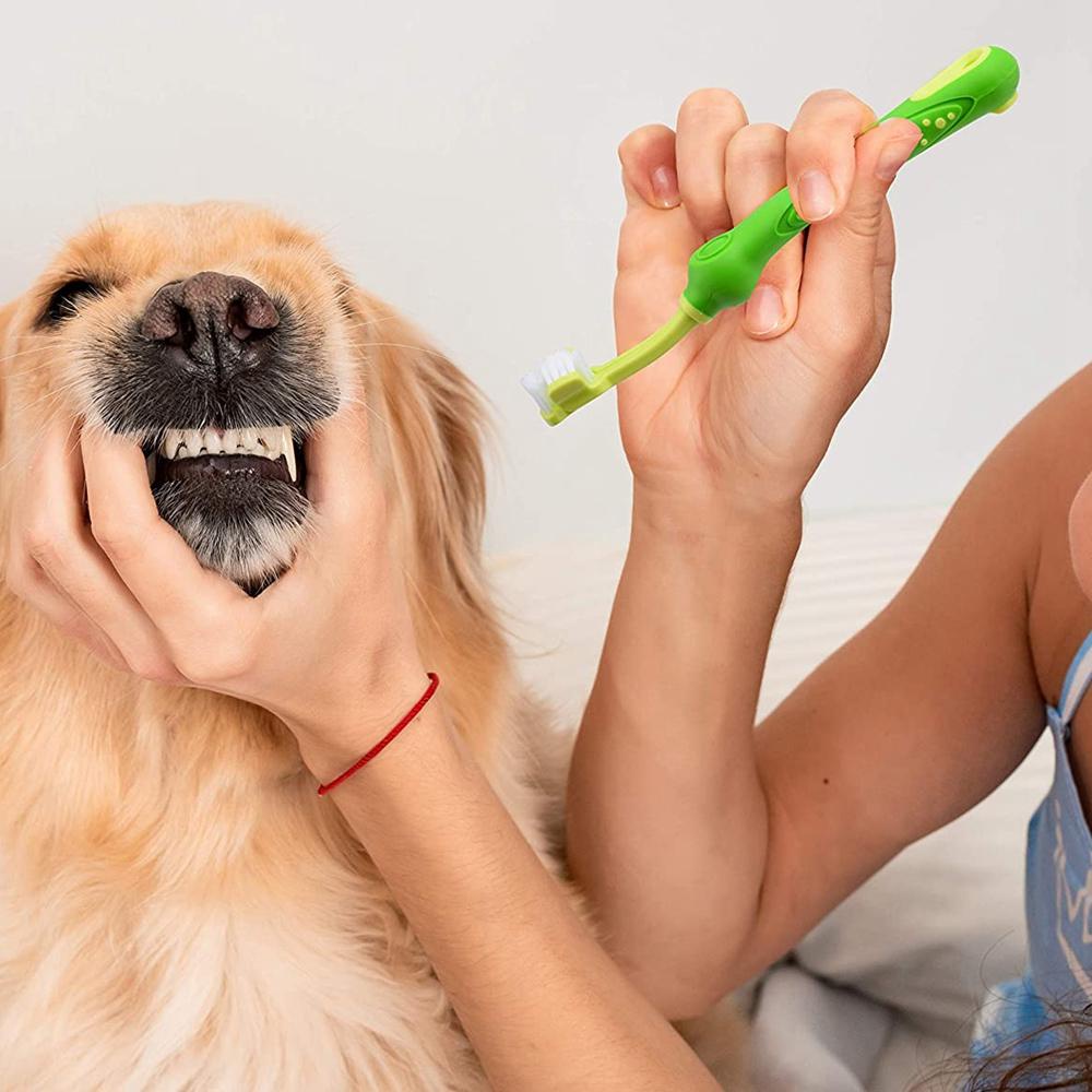 YIYU Bàn Chải Đánh Răng Cao Cấp Chăm Sóc Răng Miệng Cho Chó Mèo