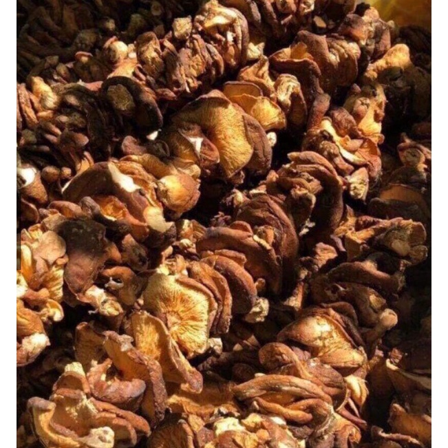 Nấm Hương Rừng Sapa, Đặc Sản Tây Bắc Chuẩn Ngon Giàu Dinh Dưỡng