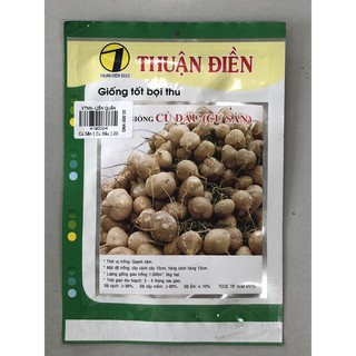 Củ Sắn ( Củ Đậu ) 20 gr - Thuận Điền