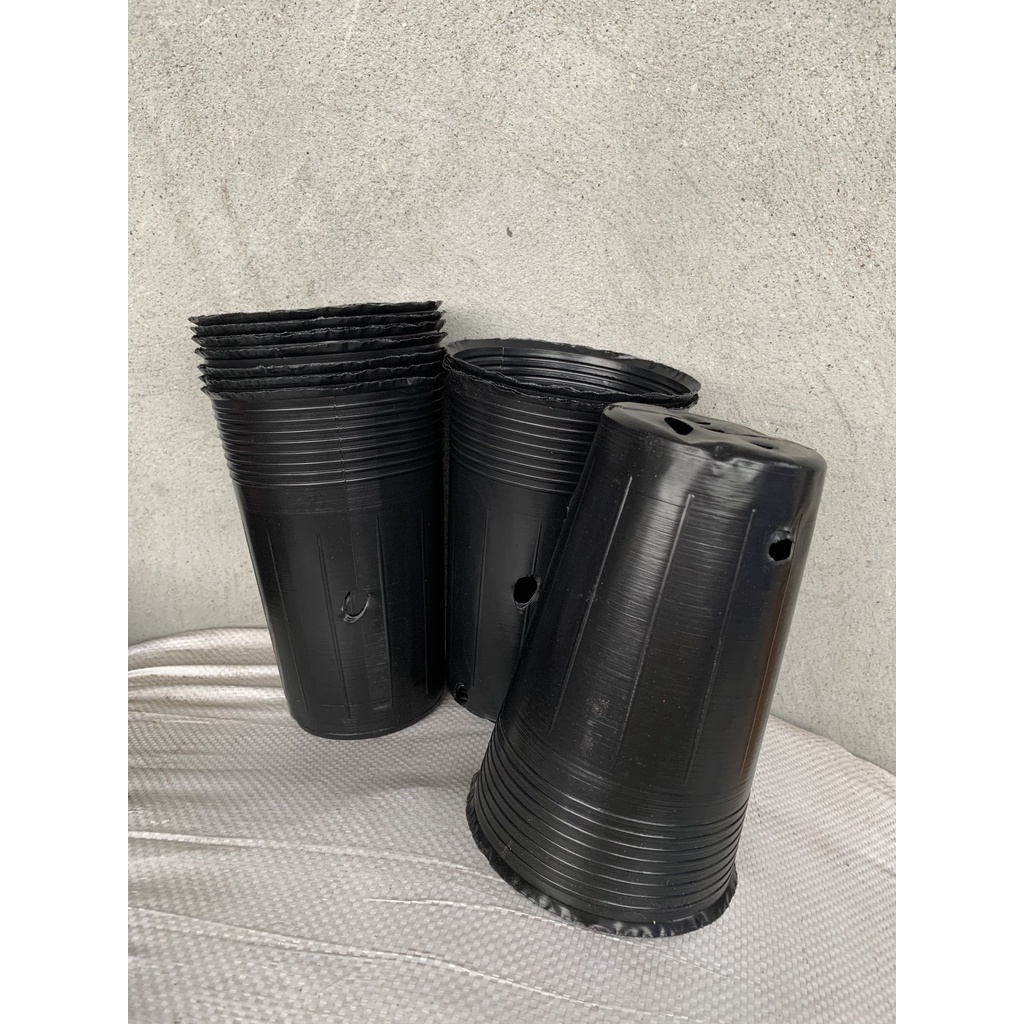 BẦU ƯƠM CÂY GIỐNG MÃ C15 (VIÊN NÉN XƠ DỪA, BẠT PHỦ ĐẤT CHỐNG CỎ, KEO LIỀN SẸO CÂY...)