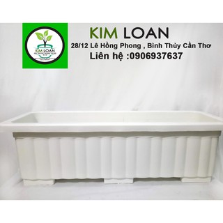 Combo 2 chậu nhựa chữ nhật thân dún 63x22x19cm