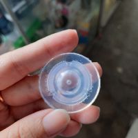 12 NÚM TI CACARA SIZE L