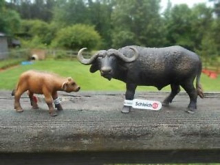 Mô hình Trâu rừng Châu Phi con SCHLEICH 14641