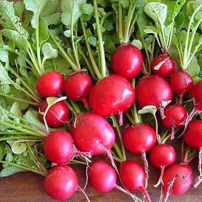 1Gr Hạt Giống Củ Cải Đỏ Cherry