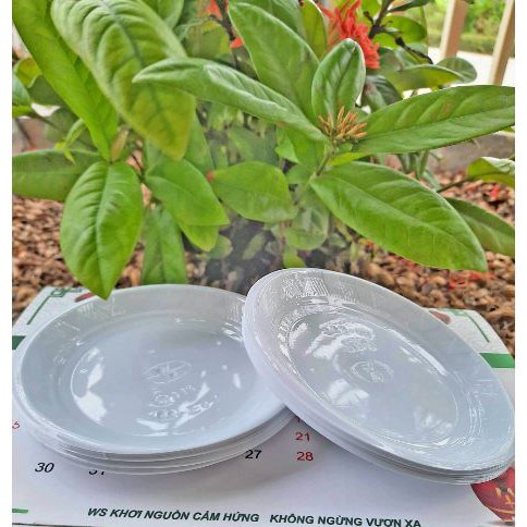 Phụ Kiện Trang Trí Bánh Sinh Nhật Bánh Kem - 1000 đĩa nhựa ăn bánh sinh nhật