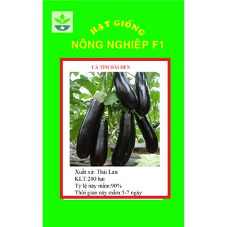 Gói 50 hạt giống cà tím dài đen F1