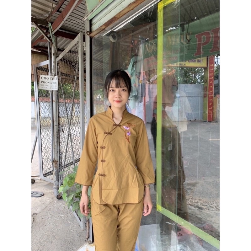 MẨU CỔ TÀU CÀI XÉO
