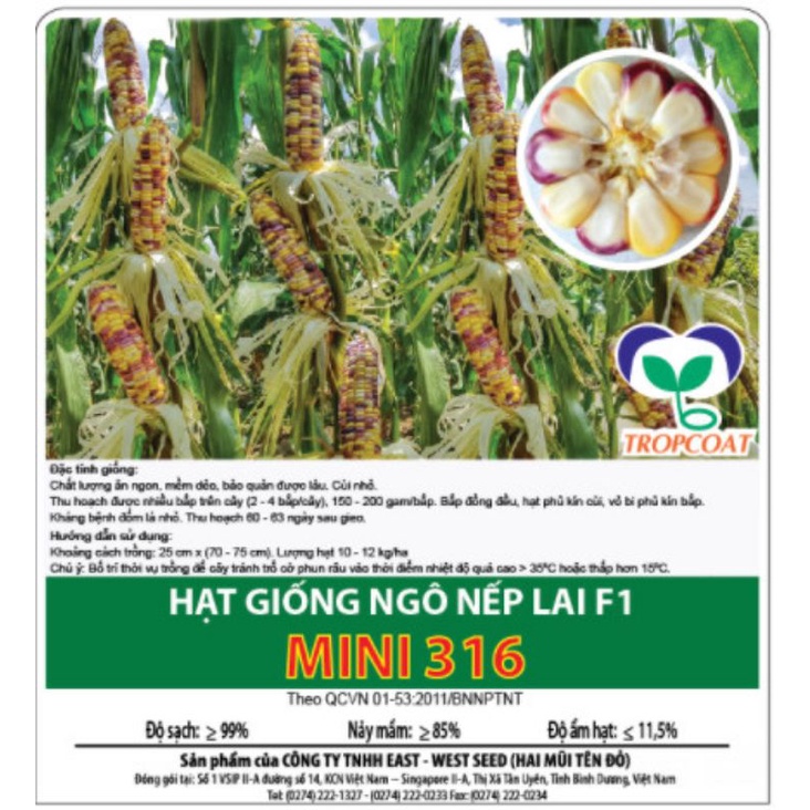 Hạt giống bắp Mini 316 (khoảng 280-290 hạt) - Hai Mũi Tên Đỏ