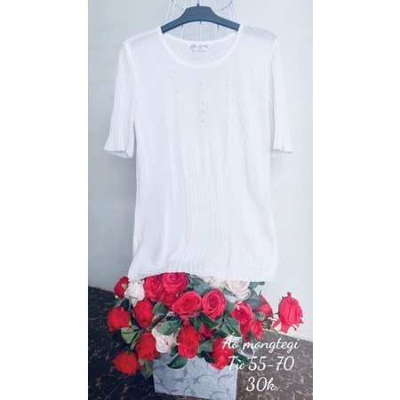 Áo len mongtegi kiểu