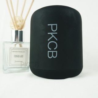 Loa Bluetooth Mini PKCB42 120