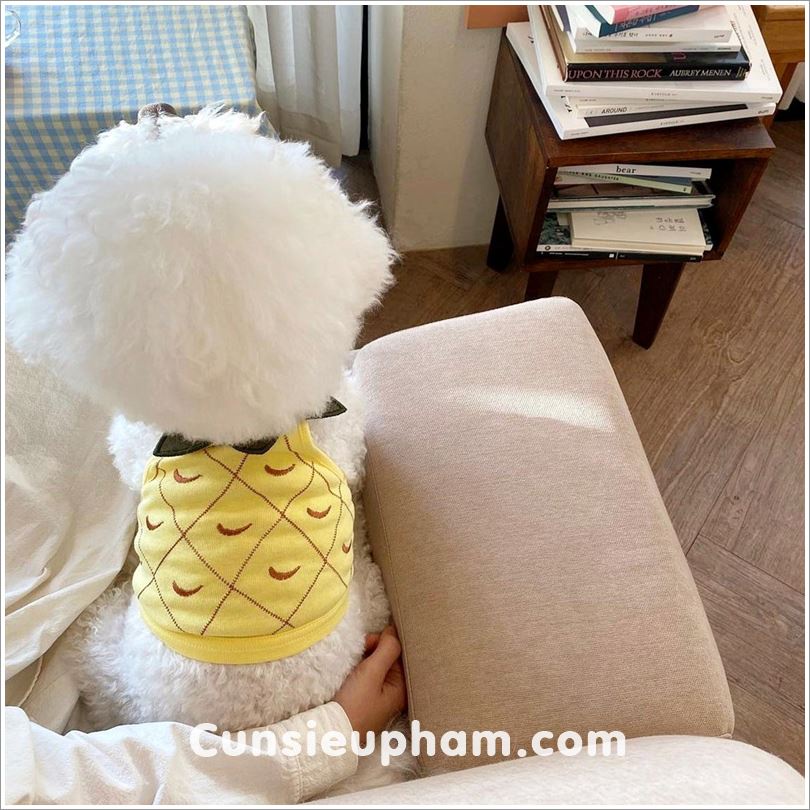 Áo thun dâu tây / quả dứa đáng yêu cho chó mèo