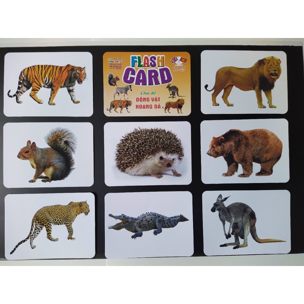 Bộ Thẻ Học Thông Minh cho bé 18 Chủ Đề thẻ học Glenn Doman loại to song ngữ Flashcard