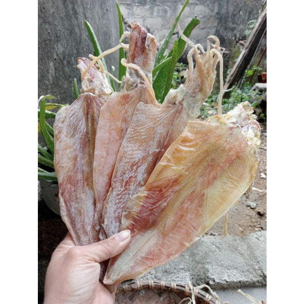 Khô mực câu Nghệ An size 16-18 con/kg -  nướng cồn, than hoa chuẩn ngon, thân dày mình, phơi khô tự nhiên