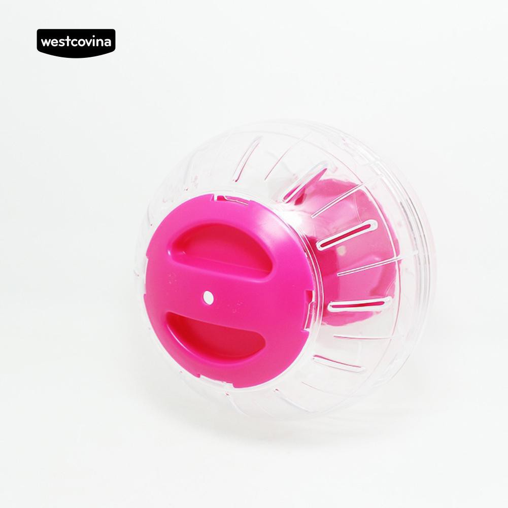 Bóng lăn đồ chơi cho chuột Hamster