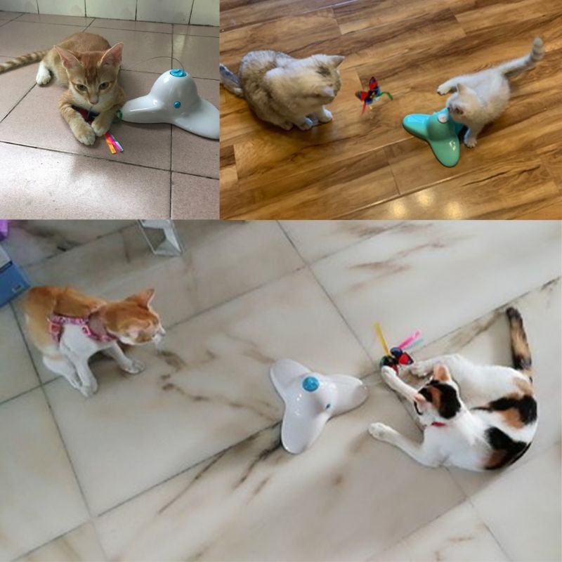 Bộ 3 Lõi Thay Thế Cho Đồ Chơi Bướm Dài 9.5 &quot;Cho Mèo Cưng