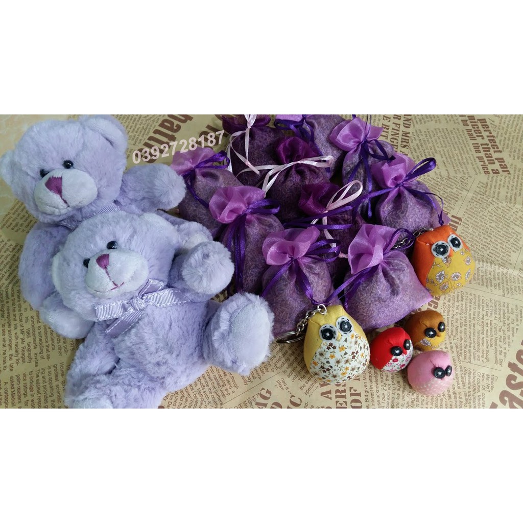 Gấu TEDDY LAVENDER