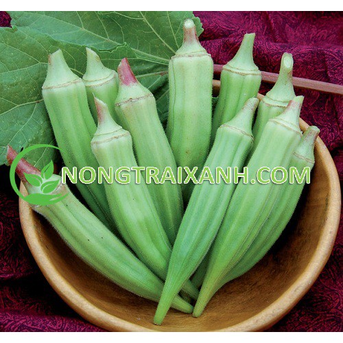 20GR - HẠT GIỐNG ĐẬU BẮP XANH