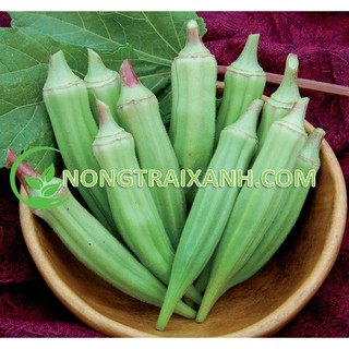 20GR - HẠT GIỐNG ĐẬU BẮP XANH