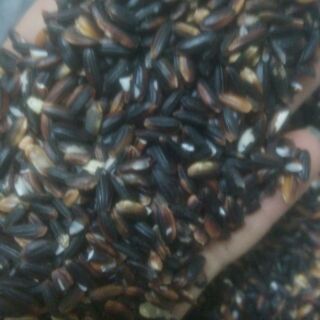 Gaọ nếp nương gói 1kg