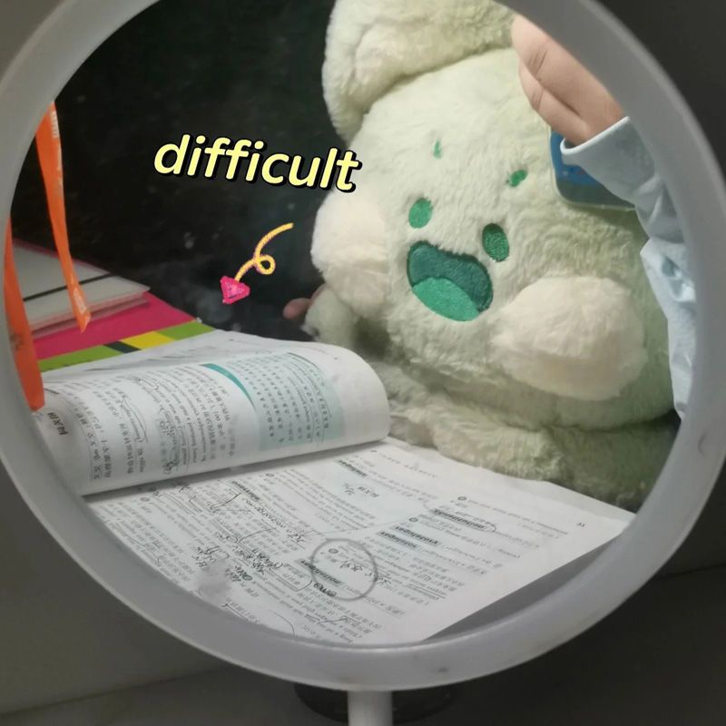 BIG Gấu bông gấu mèo racoon dudu meow má hồng dễ thương 60/90cm hot ins tiktok