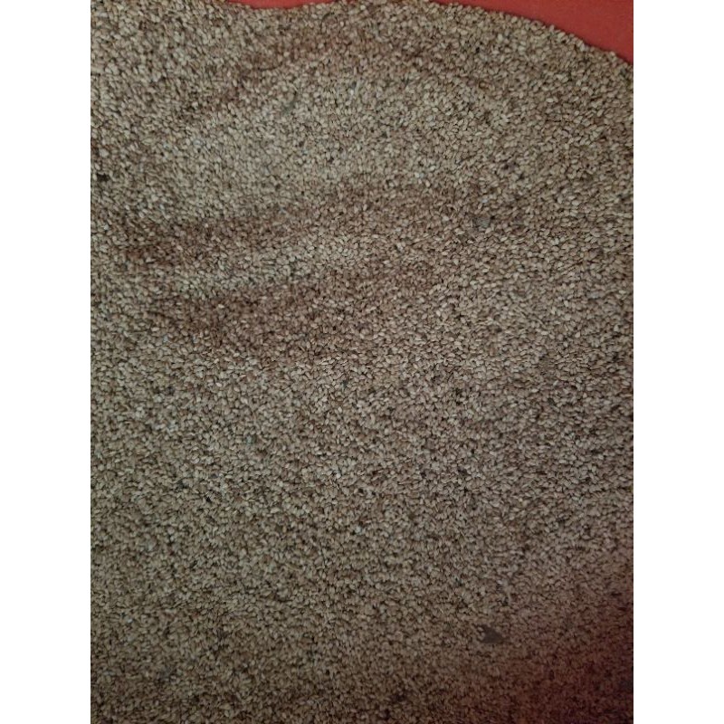 VỪNG VÀNG MINH TÂN