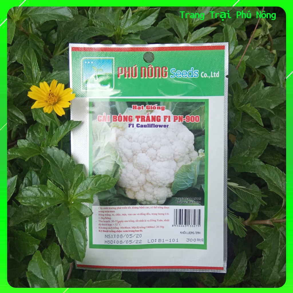 Hạt Giống Bông Cải Trắng F1 PN-900 Phú Nông - Gói 0.2g - Cauliflower