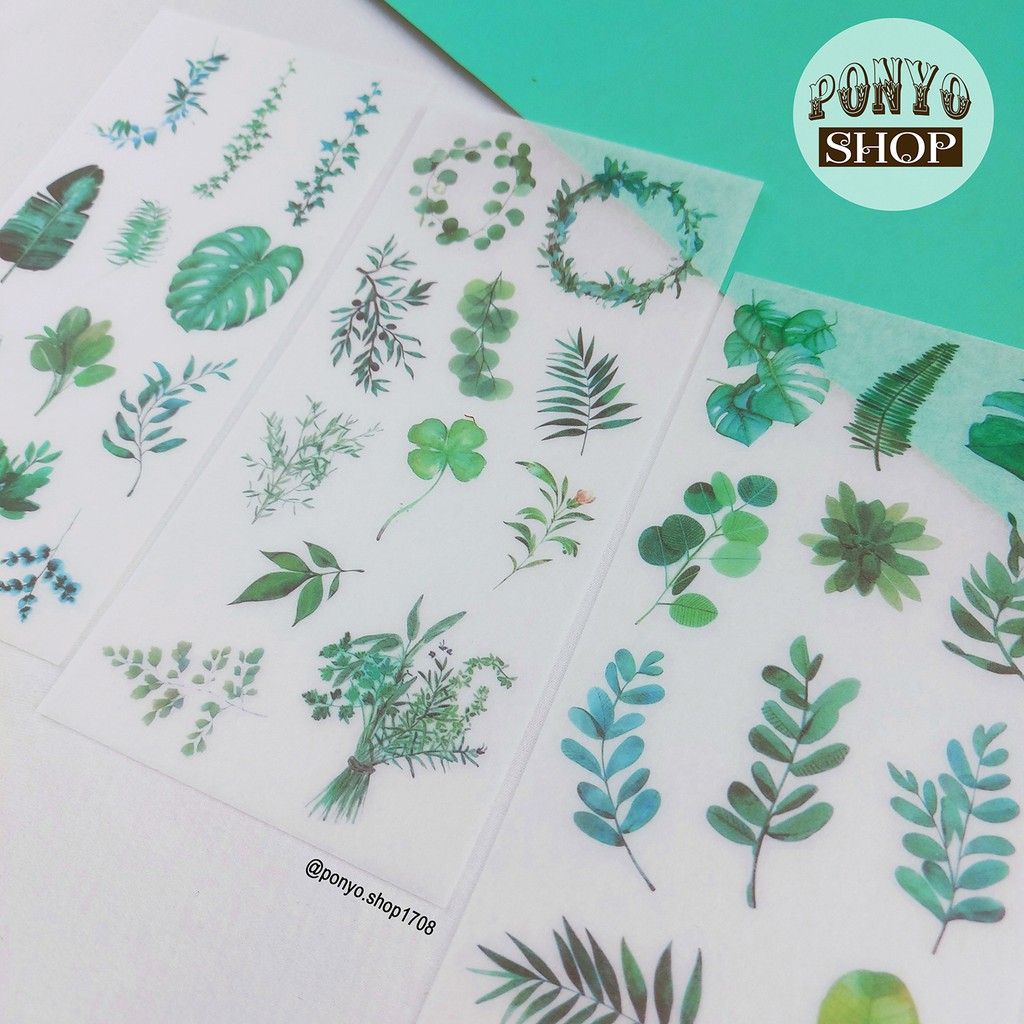 Bộ 3 sticker phong cách Watercolor - Chủ đề Green leaves