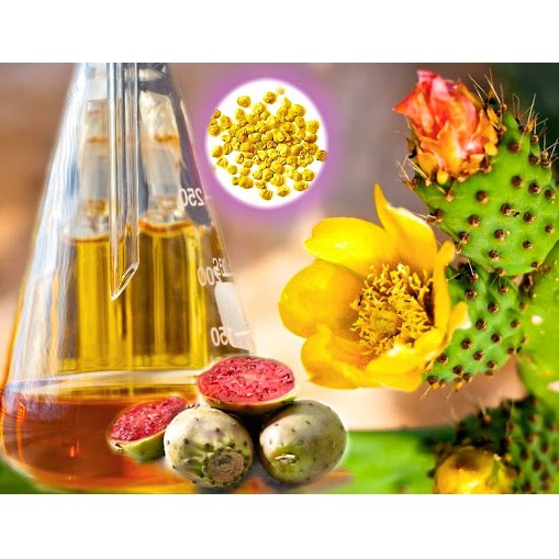 Dầu hạt xương rồng Prickly Pear Seed Oil hữu cơ Premium Liquid Gold (OIL03)