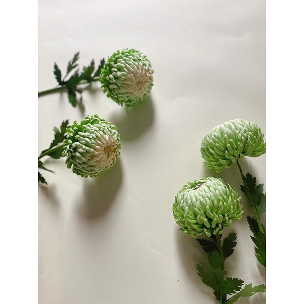 Khuôn làm hoa cúc mẫu đơn