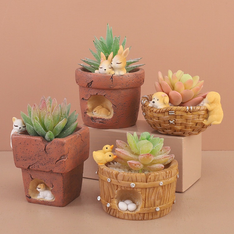 Chậu cây mọng nước chủ đề hoạt hình sáng tạo